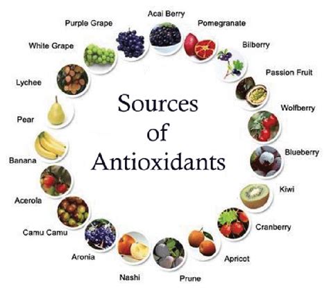 antioxidant in tagalog word|Antioxidants: Health benefits and nutritional information.